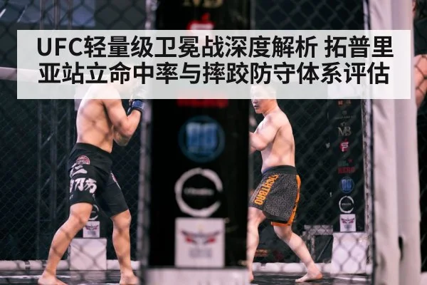 MMA octagon fight